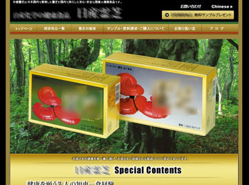 WEB制作